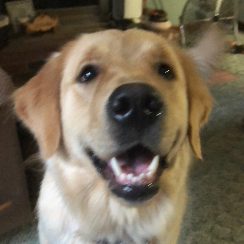 Meet your Posher, Jay